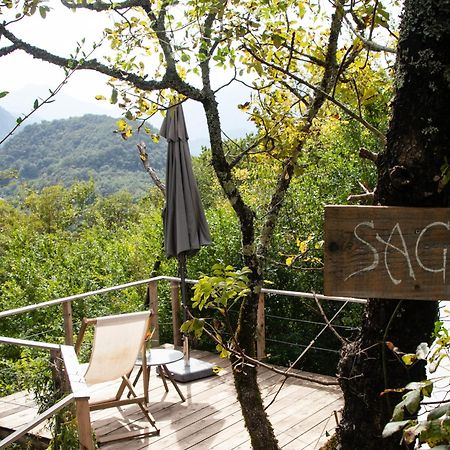 Hoopoe Glamping Hotel Virpazar Ngoại thất bức ảnh